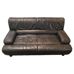 Leder De Sede DS-18 Loveseat aus Leder