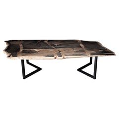 Table de salle à manger rectangulaire en bois pétrifié avec base en métal