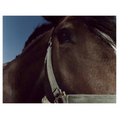 David William Baume, Bliss, édition de 10 exemplaires, photographie