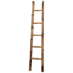 Early 20th Century French Bamboo Five Rungs Straight Ladder