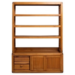 Pierre Chapo B10 Bookcase Cabinet France 1960