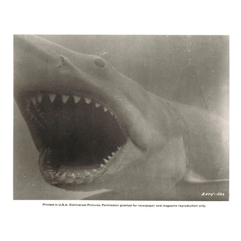 Jaws, Unframed Poster '1975' For Sale