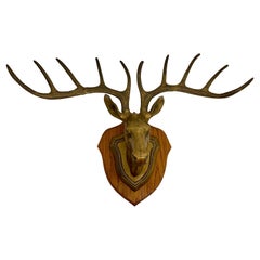 Vintage Solid Brass Ten Point Vegan Taxidermy Deer Mount