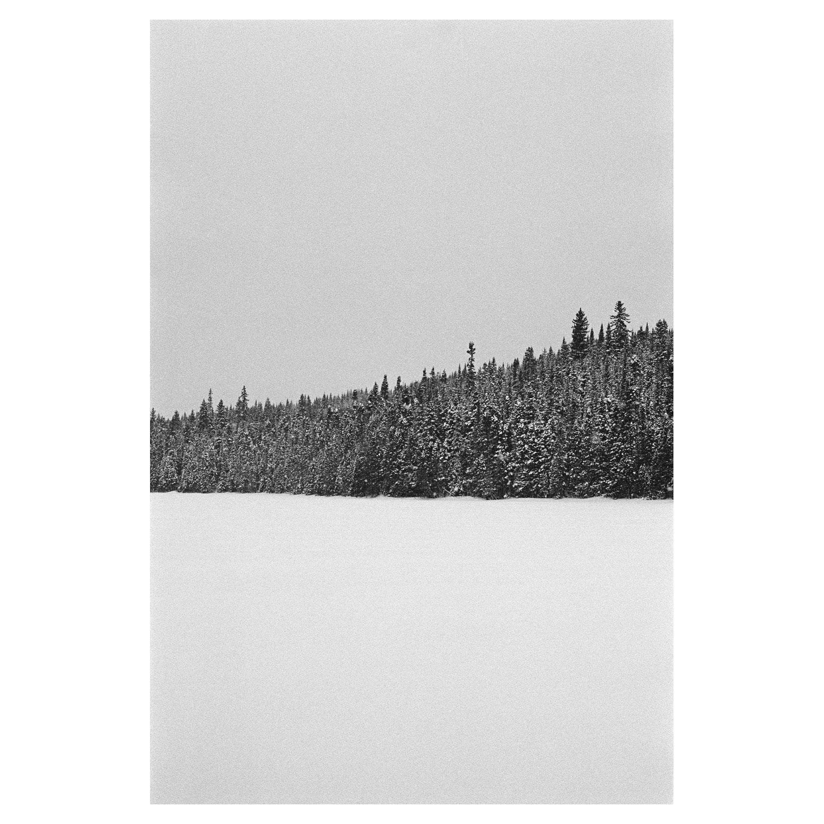 Frédéric Tougas, Strophes Pour L’hiver, Now Here, Edition of 11, Photograph For Sale