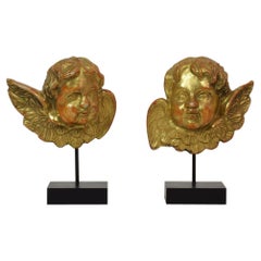 Pair Italian 18th Century Carved Giltwood Baroque Winged Angel Heads