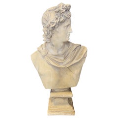 Elegant French Antique Plaster Bust Sculpture of Male Figure