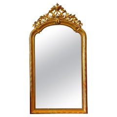 19th Century French Carved Gilt Wood Floor Mirror