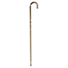1960 Modern Lucite Walking Stick Crook Cane Steel Tip Mid-Century Regency