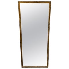 Neoclassical Style Gilt Wood Full Length Mirror