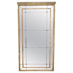 19th Century, French Directoire Divided Glass Floor Mirror