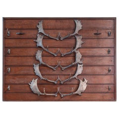 Antique 19th Century Stag Antler Fishing Rod Rack