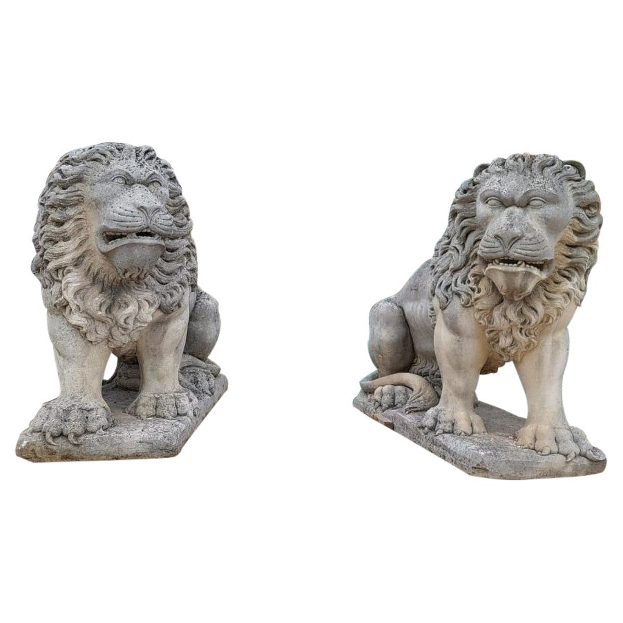 Antike Paar riesige und mächtige Löwen-Skulptur aus Vicenza-Stein, 19. Jahrhundert, Italien