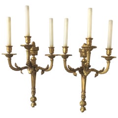 2 Pairs of Large  Caldwell Style 1870s French Dore Bronze Classical Sconces