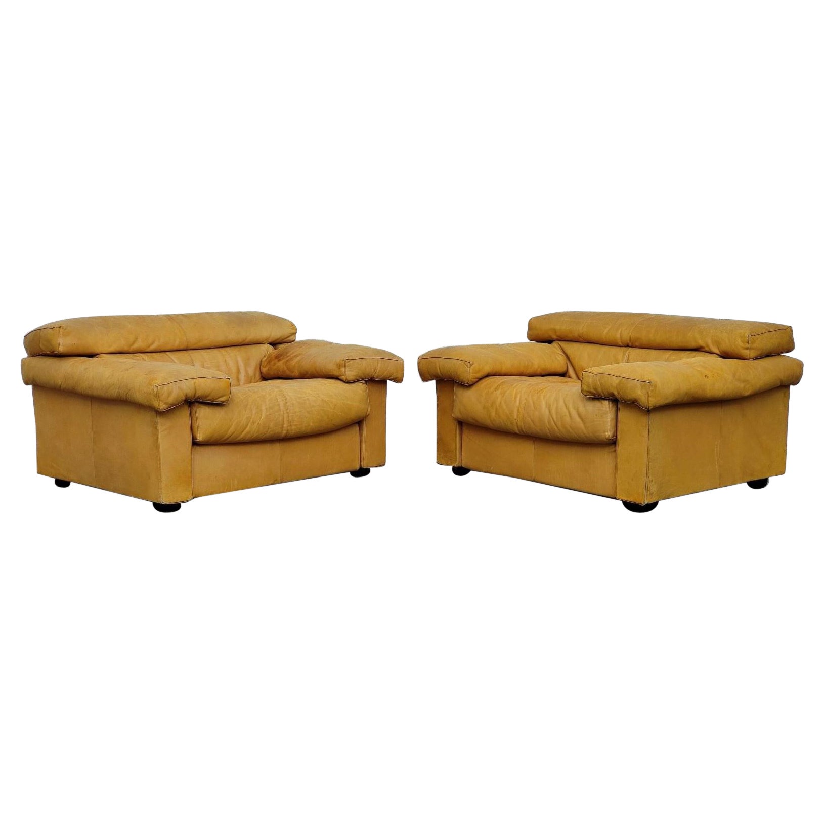 Pair of Erasmo Leather Armchairs by Afra and Tobia Scarpa for B&B Italia 70s