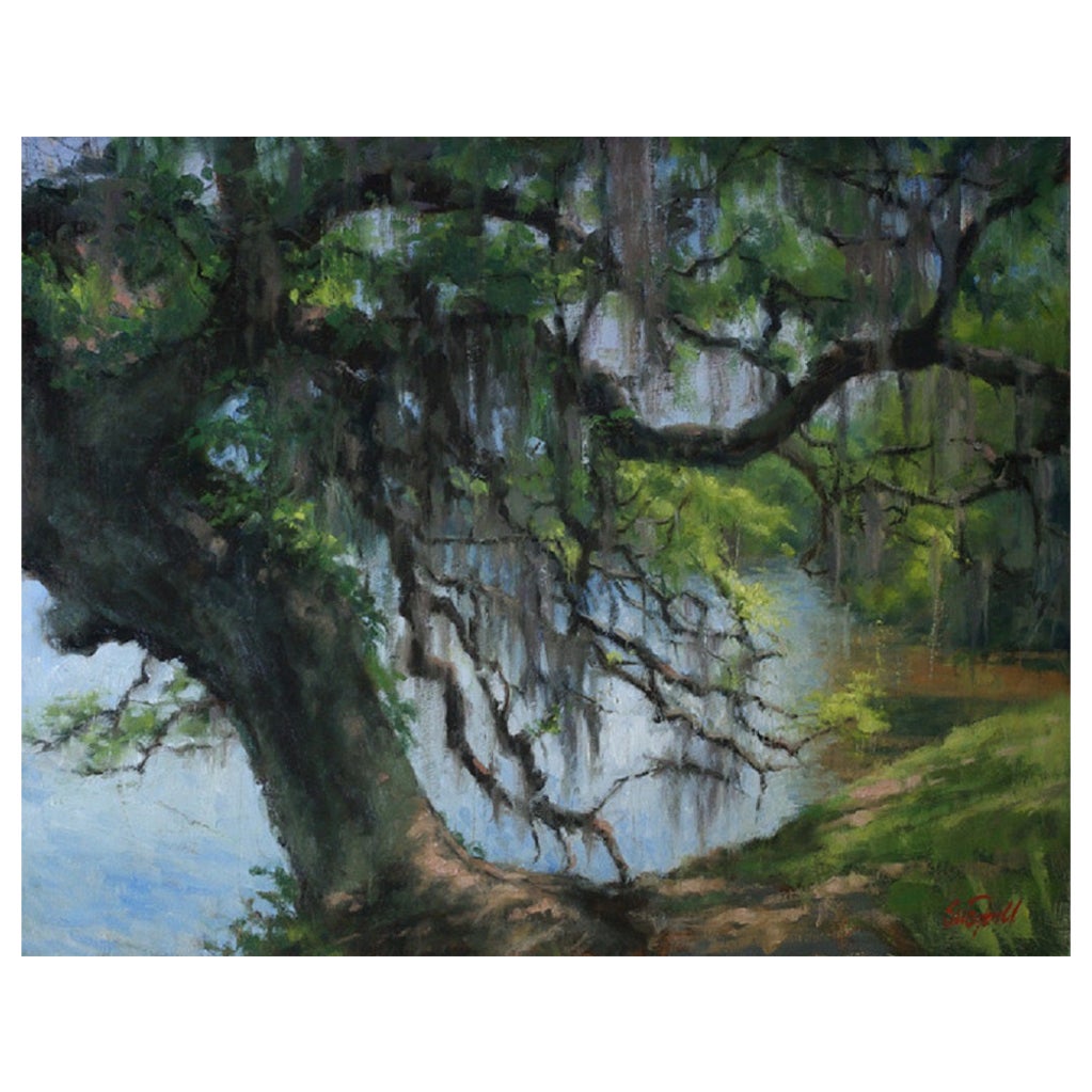 Oil on Canvas "Spanish Moss" Oak Tree at Middleton Plantation by Sue Foell