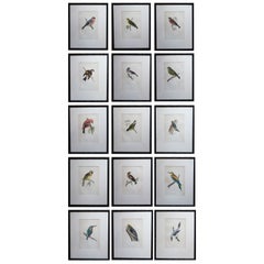 Set of 15 Original Antique Bird Prints After Francis Lydon, C.1880