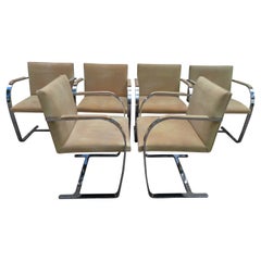 Ensemble de 6 chaises Mies van der Rohe Brno en acier inoxydable et cuir de daim par Knoll