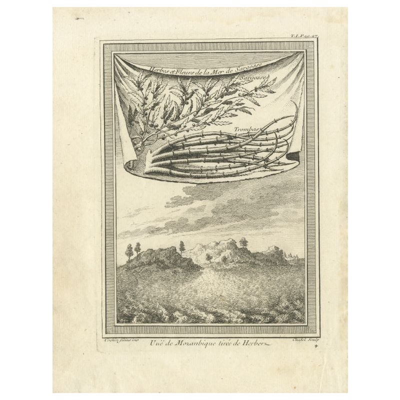 Antiker Druck des Mosambiken und des Sargasso-Museums, Afrika, 1746