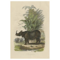 Antique Print of Rhinoceros, 1854