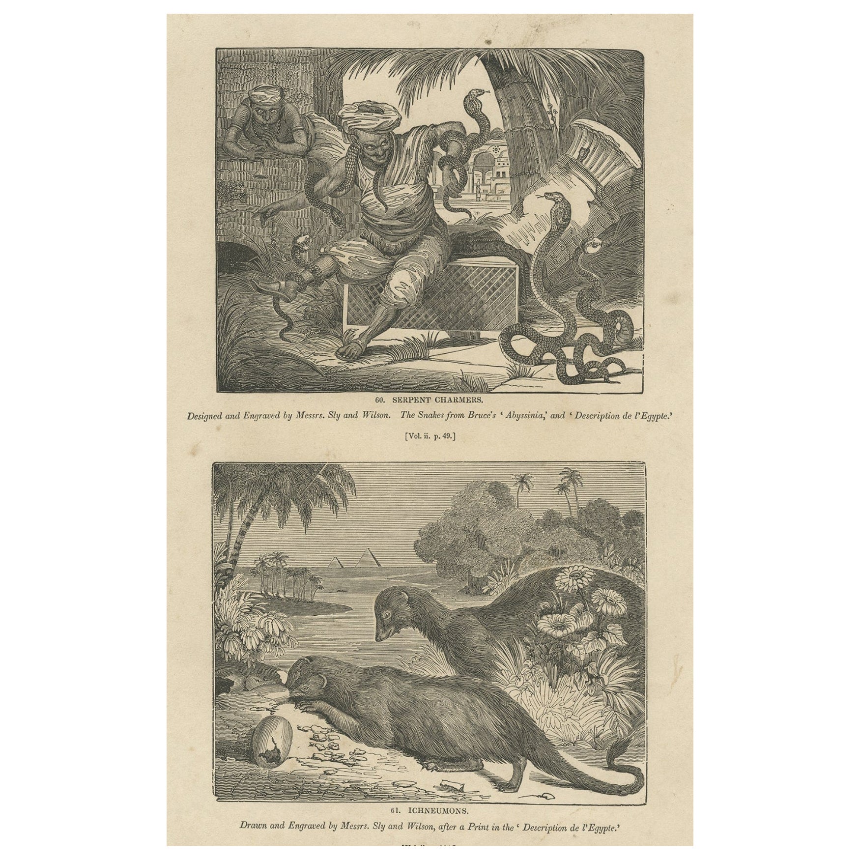 Antique Print of Snake Charmers and the Egyptian Mongoose, 1835 For Sale
