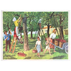 School Poster Picking Cherries in the Garden by Rossignol