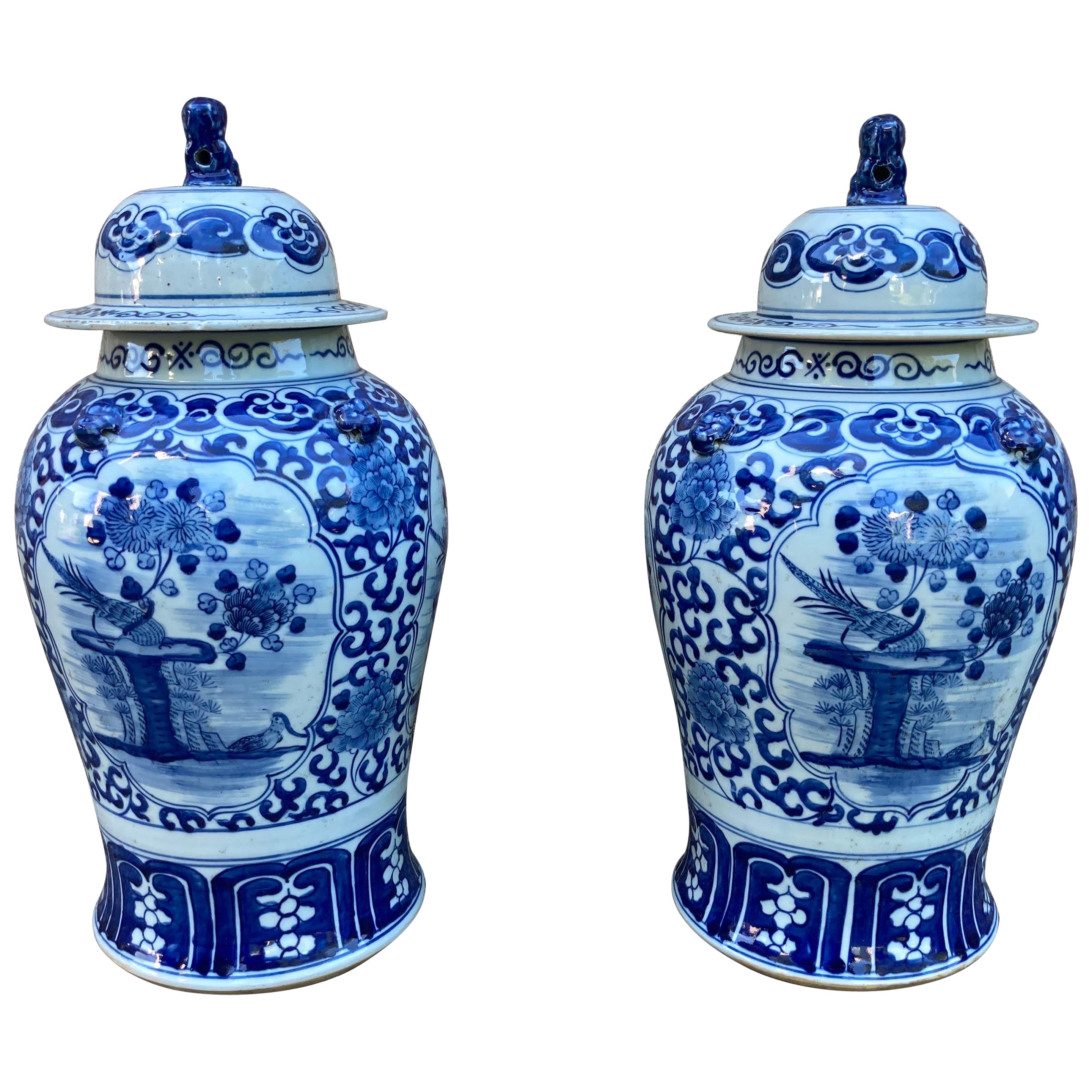 Paire de pots chinois bleus et blancs avec couvercles en vente