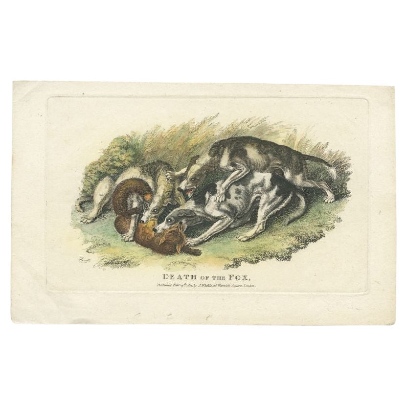 Antiker Druck eines Hundes und des Todes eines Fuchses von Howitt, 1812