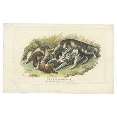 Antique Print of a Dog and Death of a Fox by Howitt, 1812