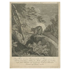Antique Print of a Fox with two Tails by Ridinger, c.1745
