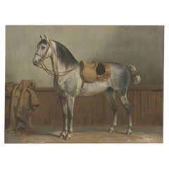 Antique Print of a Lippizaner Horse by Eerelman, 1903