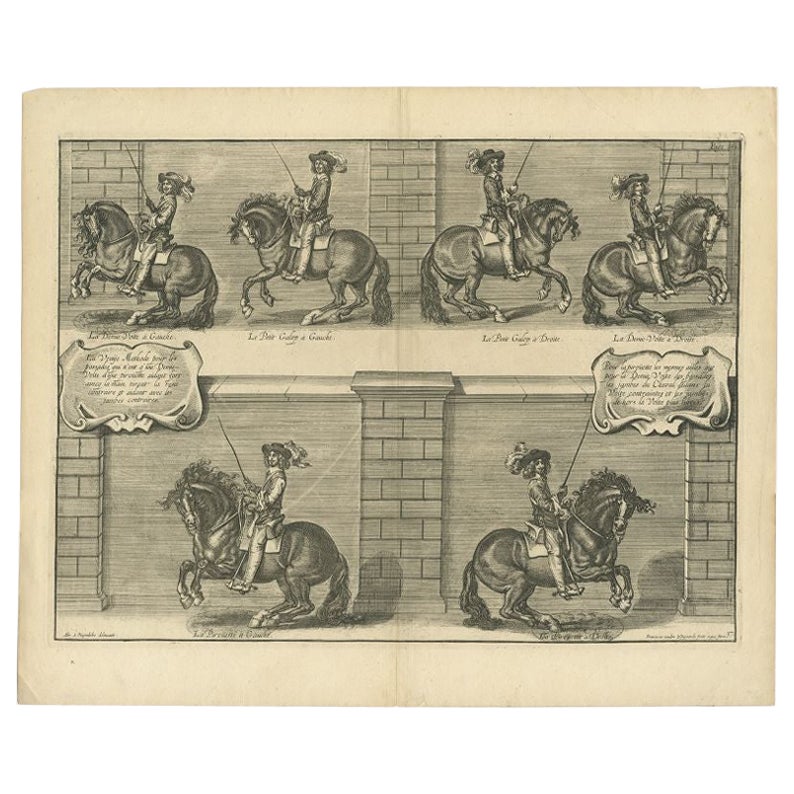 Antique Print of the Schooling of Horses by Van Kessel, c.1740