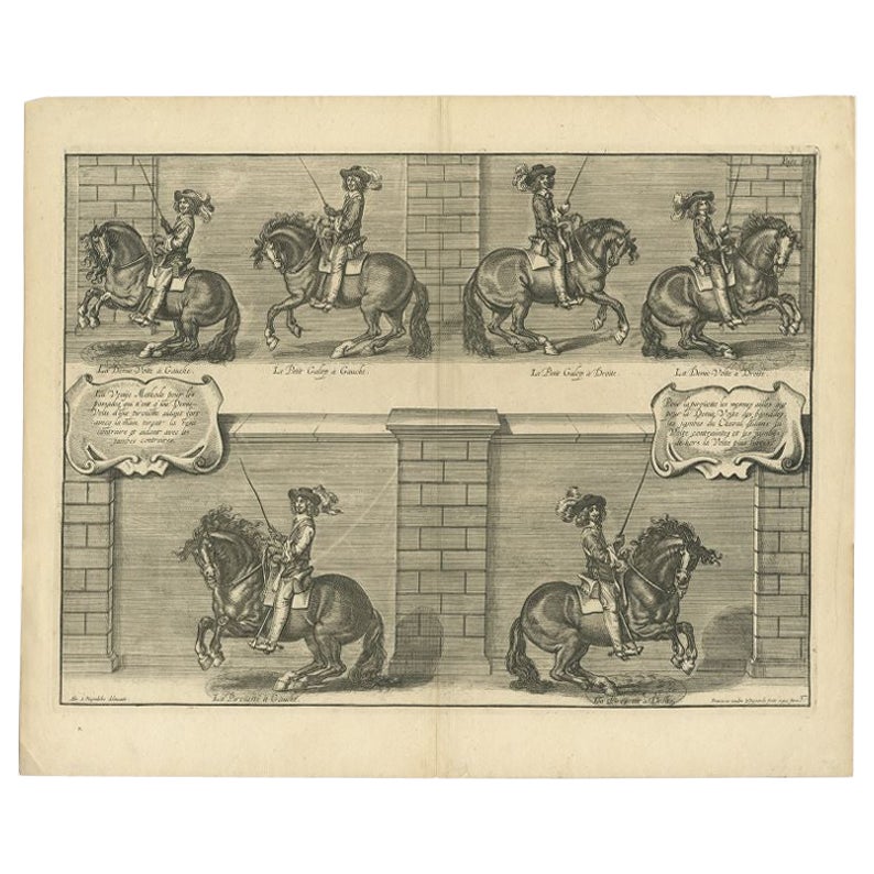 Grabado antiguo de la doma de caballos por Van Kessel, c.1740