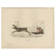 Used Print of an Ackja Sleigh traditionally used by the Sami 