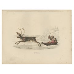 Antique Print of an Ackja Sleigh traditionally used by the Sami