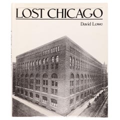 Used Lost Chicago by David Lowe