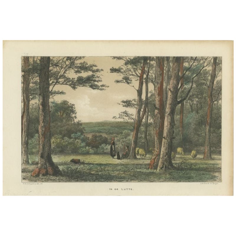 Antique Print of the Village of Lutte by Craandijk, 1876 For Sale