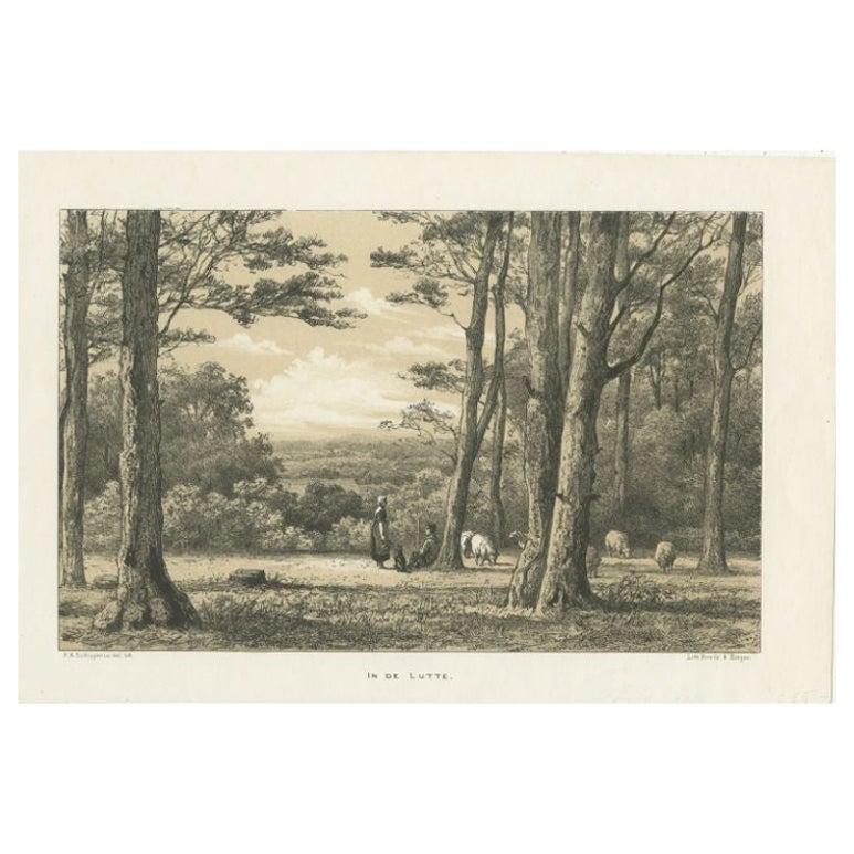 Antique Print of the Dutch Village of Lutte by Craandijk, 1876 For Sale