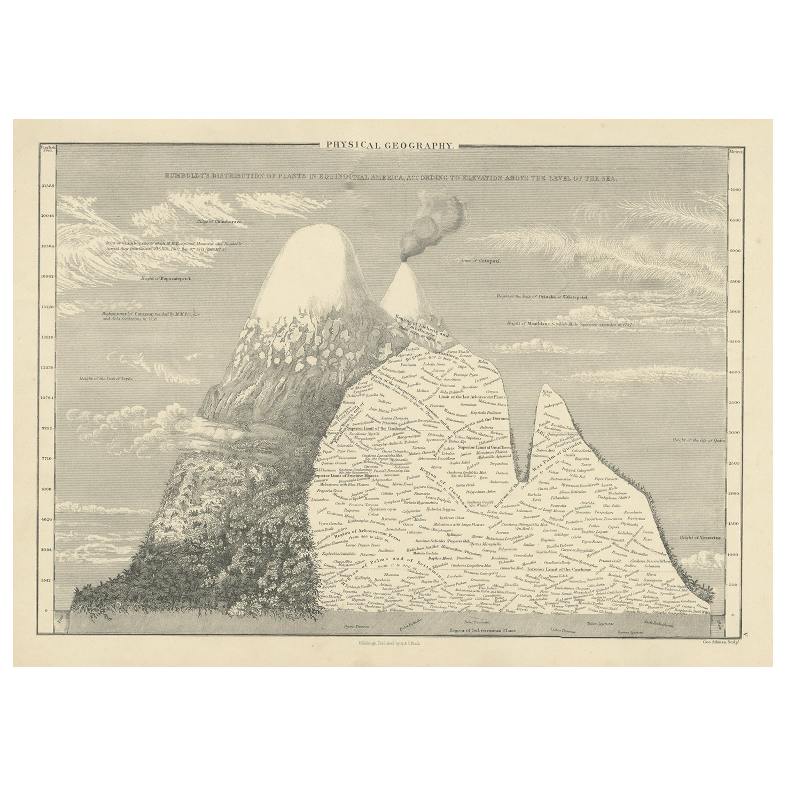 Antique Print of an Elevational Profile Near the Equator, 1854