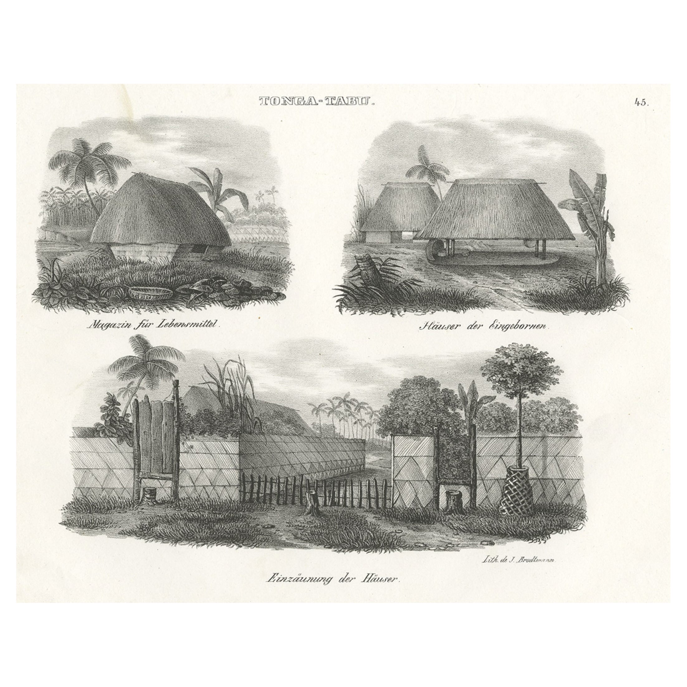 Original Antique Engraving of Various Houses of Tonga Tabu, c.1836