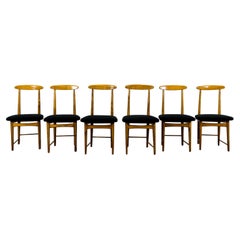 Set of 6 Restored Dining Chairs by Bernard Malendowicz 1960's