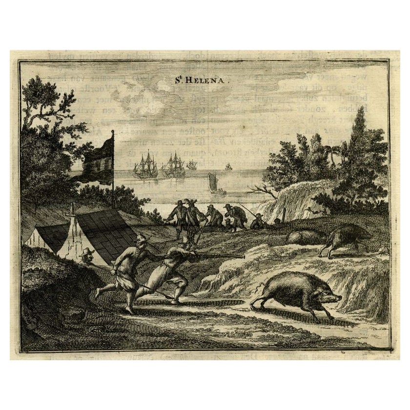 Antique Print of Boar Hunting on St. Helena by Montanus, 1669 For Sale