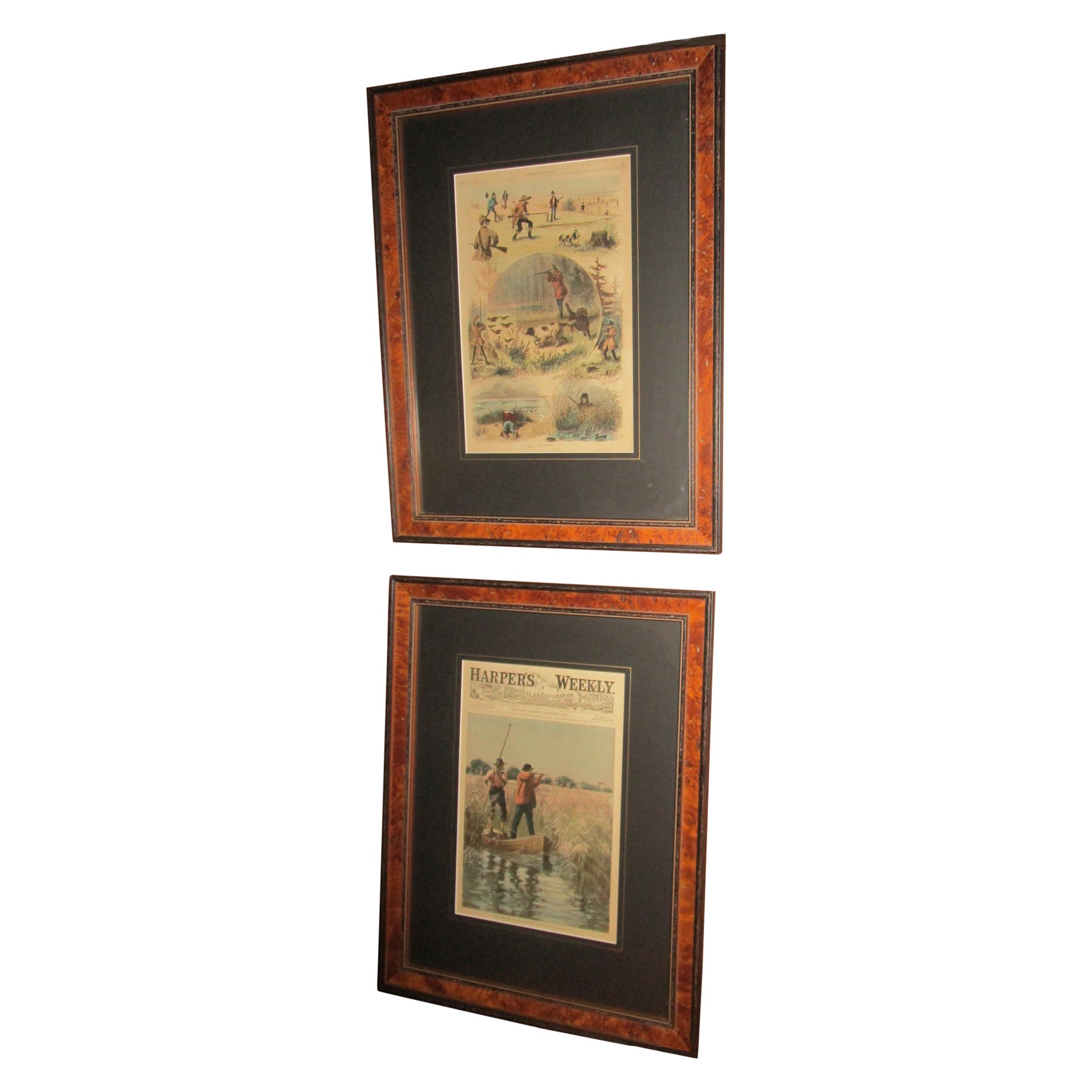 19th C Harper's Weekly A.B. Frost Sporting Prints with Burled Walnut Frames