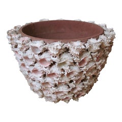 Conch Shell Encrusted Terra Cotta Planter Pot, 20th Century 