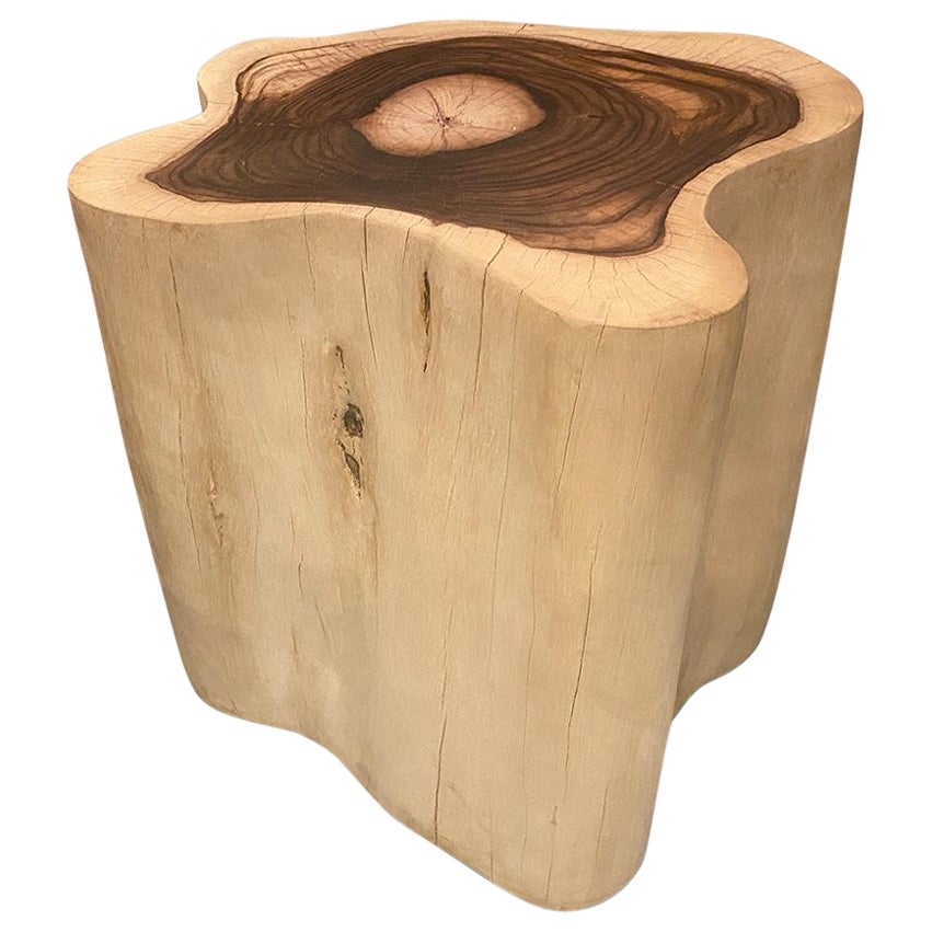 Andrianna Shamaris Rare Sono Wood Oversized Side Table or Pedestal