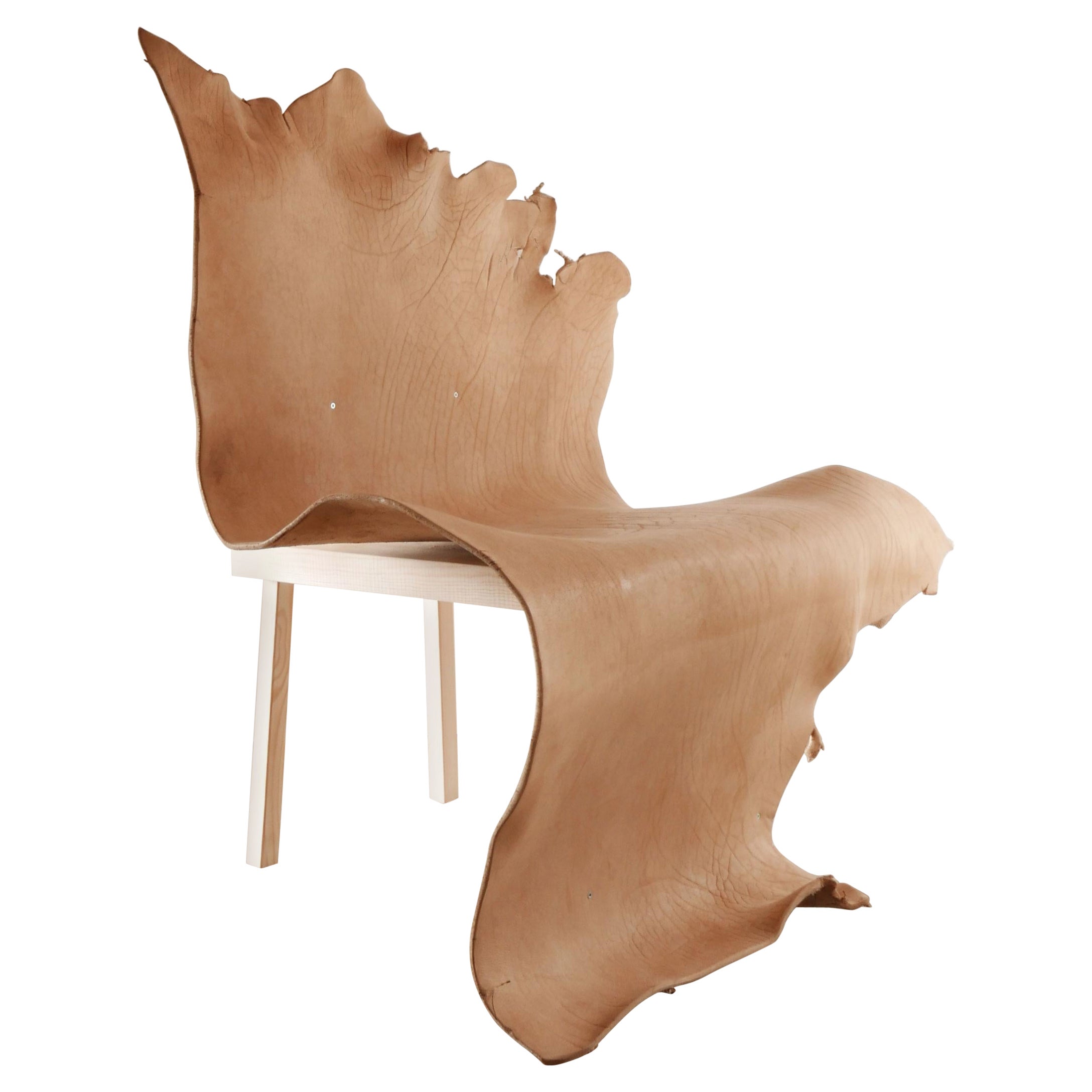 Atribut by Jordi Ribaudí, Buffalo Leather Sculptural Furniture For Sale