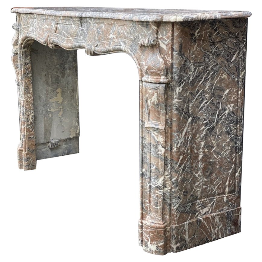 Louis XV Style Fireplace in Gray Ardennes Marble For Sale