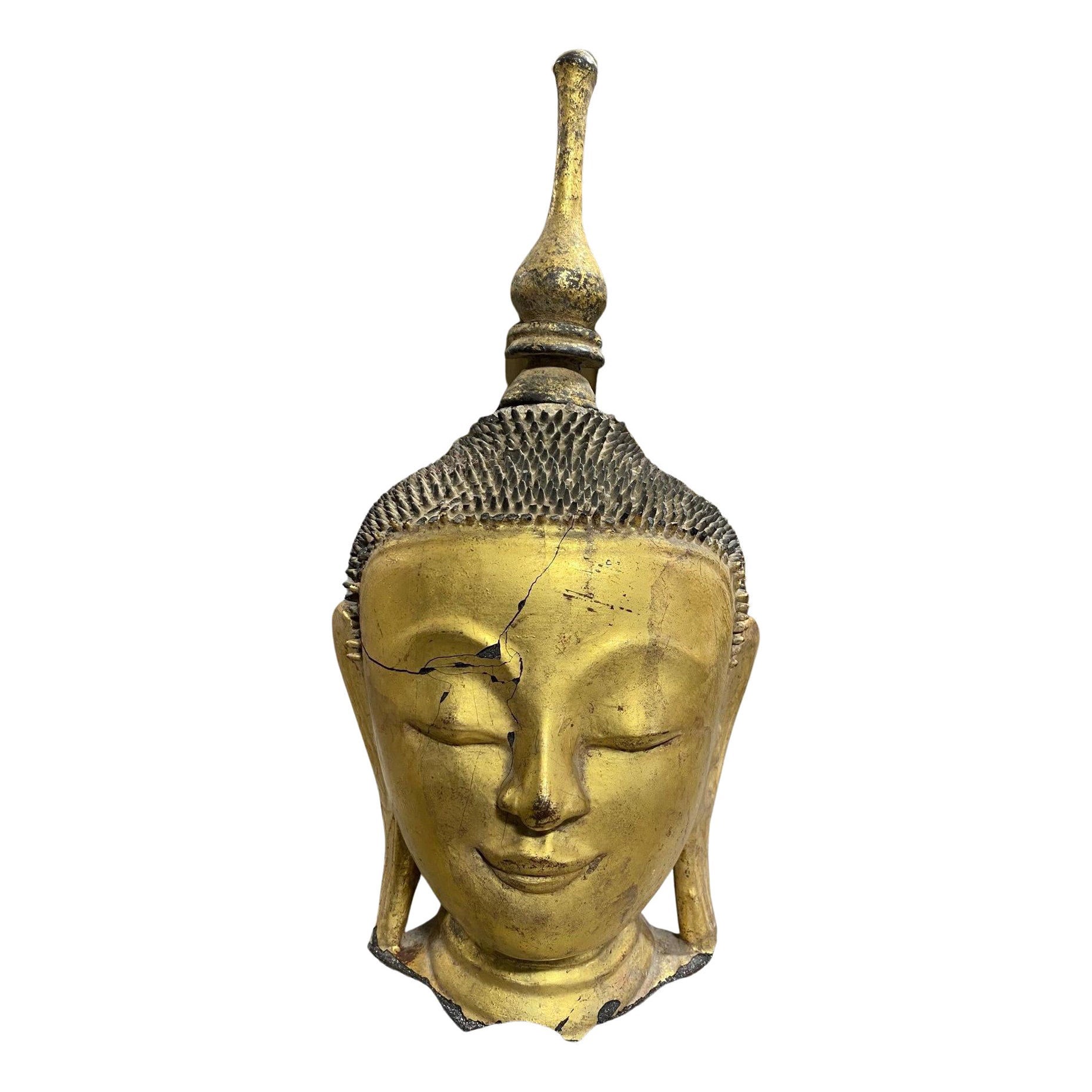 Antike Original Thayo Burma Myanmar Asiatische Buddha-Kopf-Skulptur-Statue, Thayo im Angebot