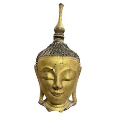 Antike Original Thayo Burma Myanmar Asiatische Buddha-Kopf-Skulptur-Statue, Thayo