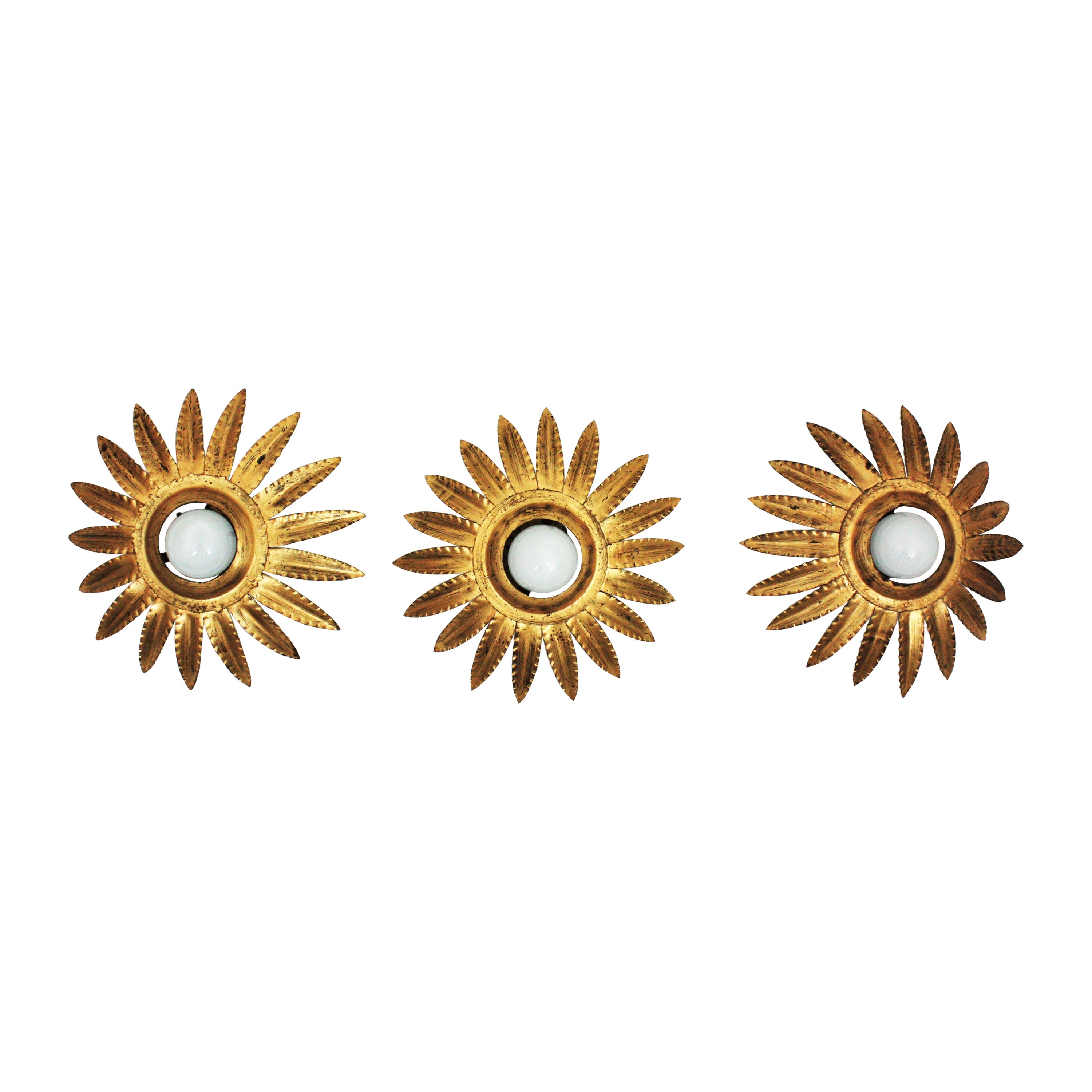 Set of three sunburst starburst gil iron wall sconces or ceiling lights. Spain, 1960s.
These eye-caching light fixtures are handcrafted in gilt wrought. They have sunburst or flower shaped frames surrounding a central exposed bulb. Finished in gold