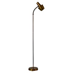 Vintage Brass Floor Lamp, Sweden